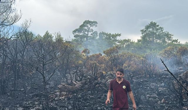 Yaz yağmurları Muğla'yı yaktı