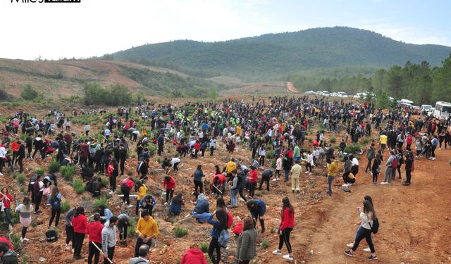 Milas'ta fidanlar 'Geleceğe Nefes' olacak