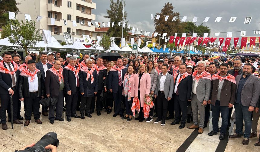 Zeytin Hasat Şenliği'ne sağanak yağış engeli!