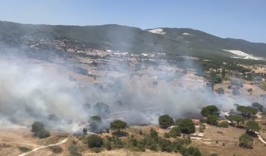 Muğla'nın Milas İlçesinde Orman Yangını: Alevler Köylere Yaklaştı